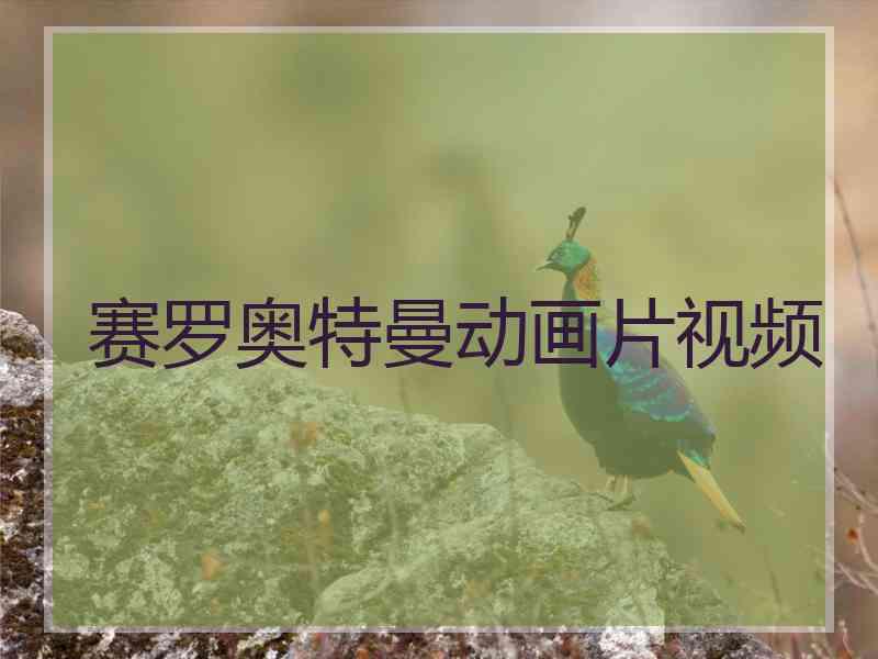 赛罗奥特曼动画片视频