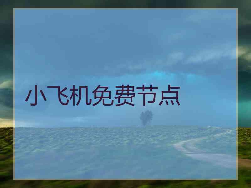 小飞机免费节点