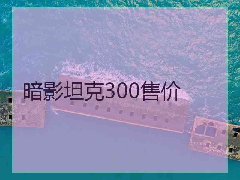 暗影坦克300售价
