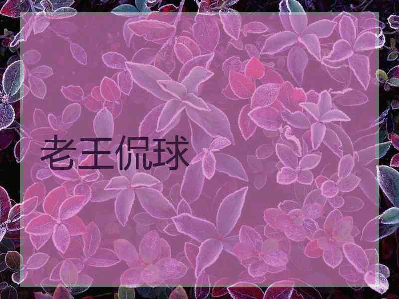 老王侃球