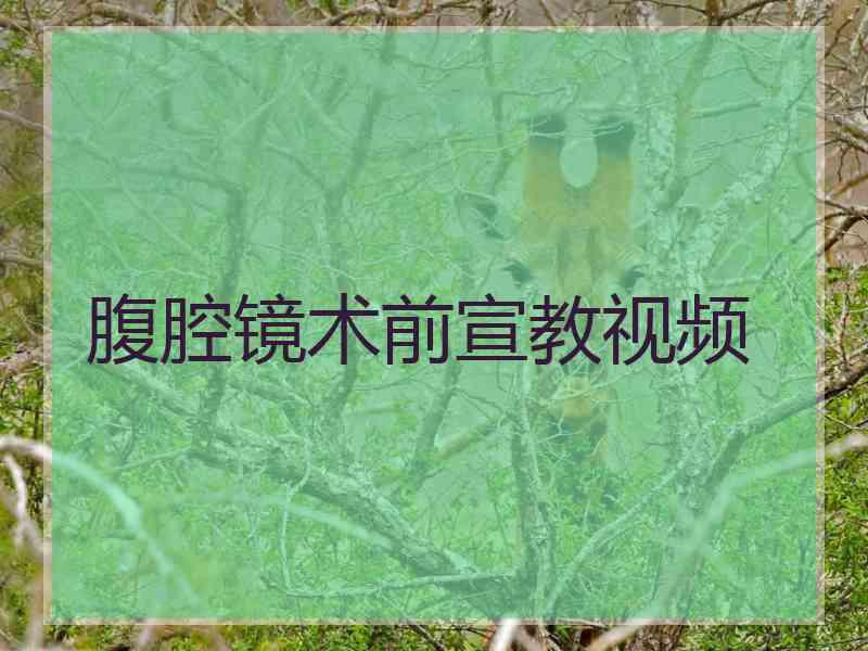 腹腔镜术前宣教视频