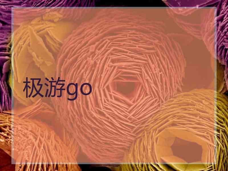 极游go