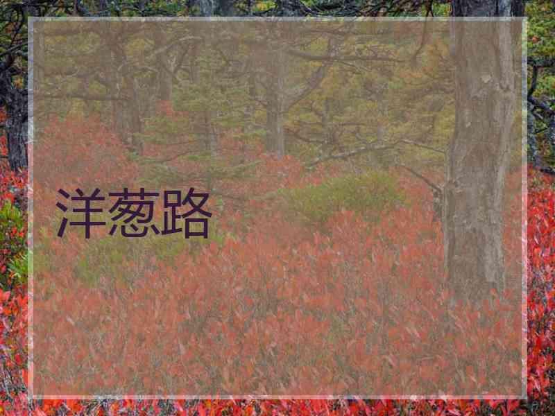 洋葱路