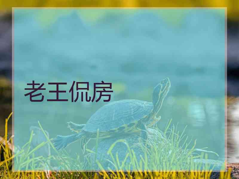老王侃房