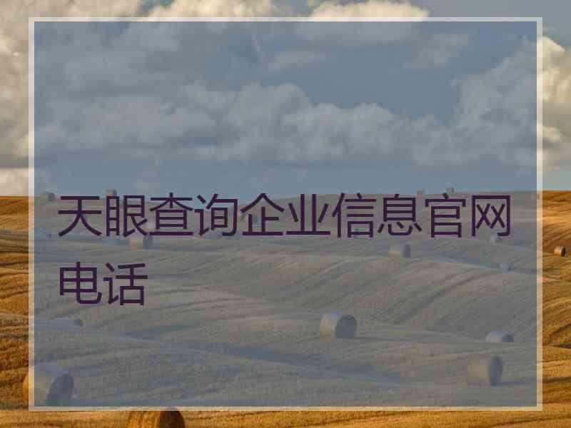 天眼查询企业信息官网电话