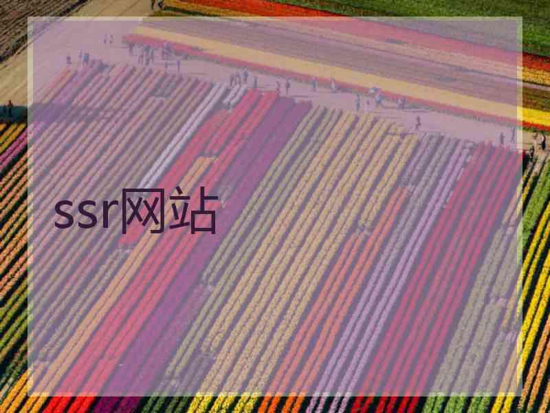ssr网站