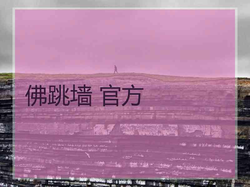 佛跳墙 官方