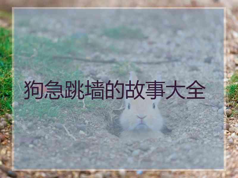 狗急跳墙的故事大全