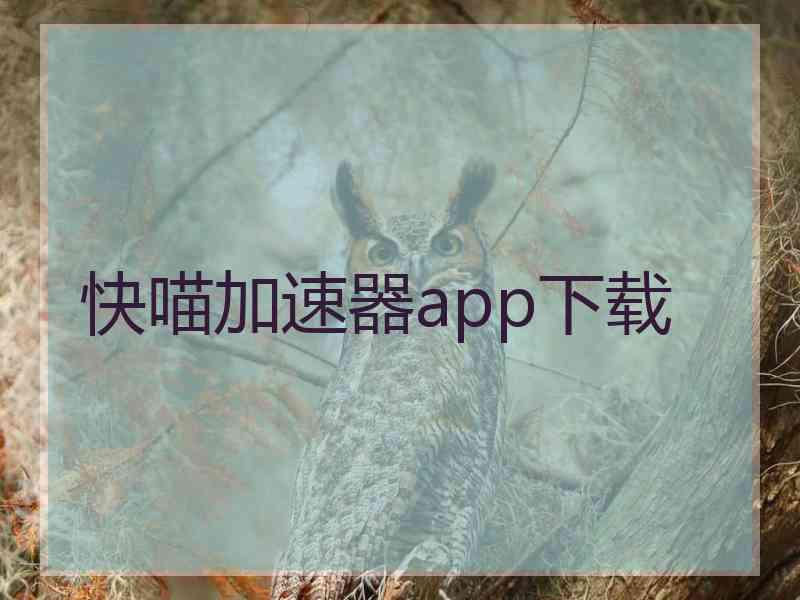 快喵加速器app下载