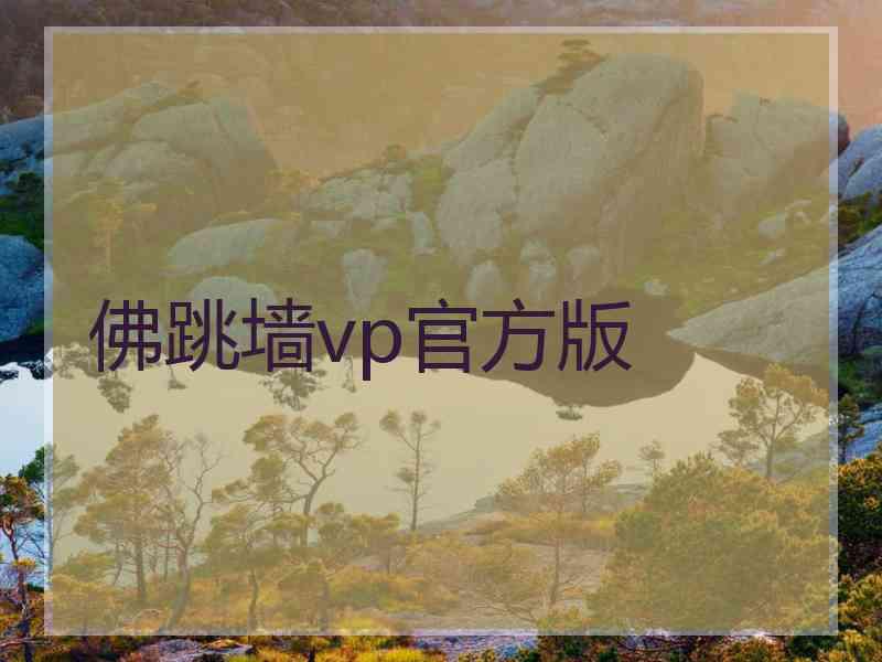 佛跳墙vp官方版