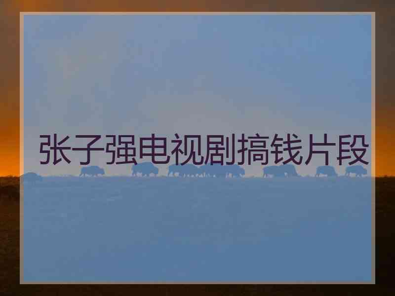 张子强电视剧搞钱片段