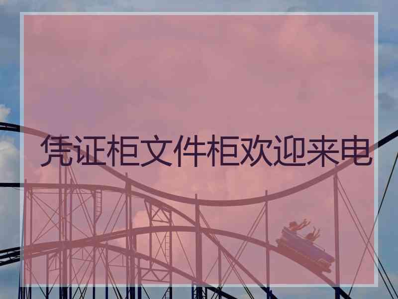 凭证柜文件柜欢迎来电