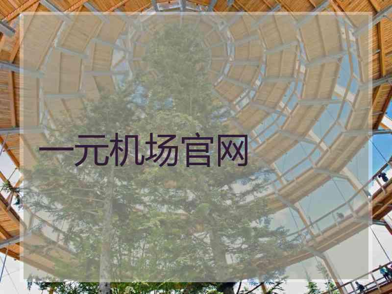 一元机场官网