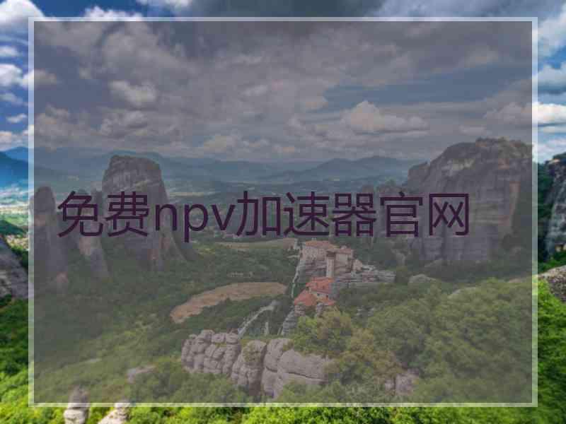 免费npv加速器官网