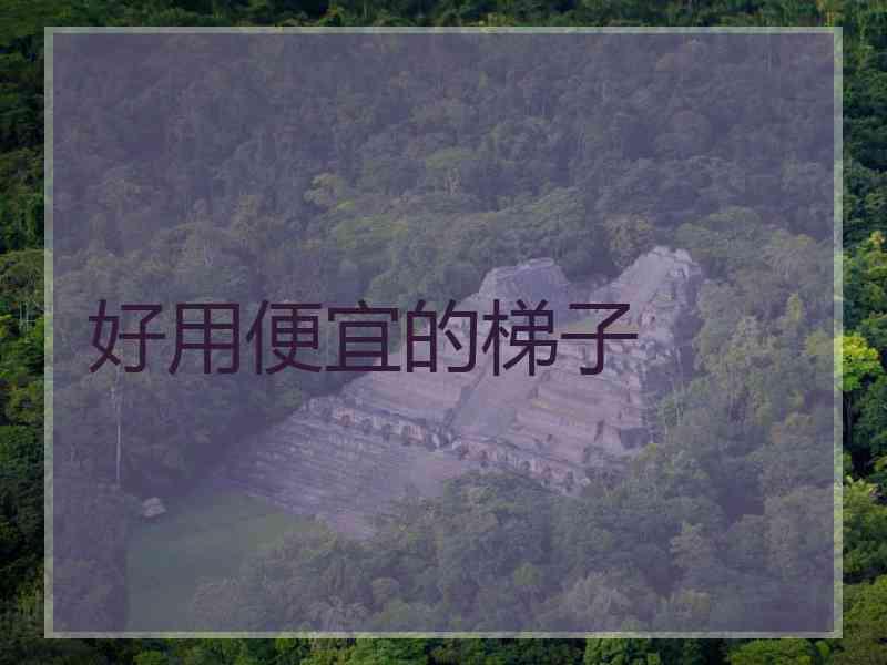 好用便宜的梯子