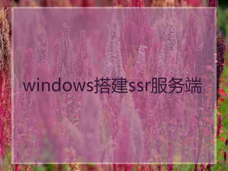 windows搭建ssr服务端