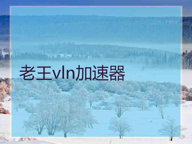老王vln加速器