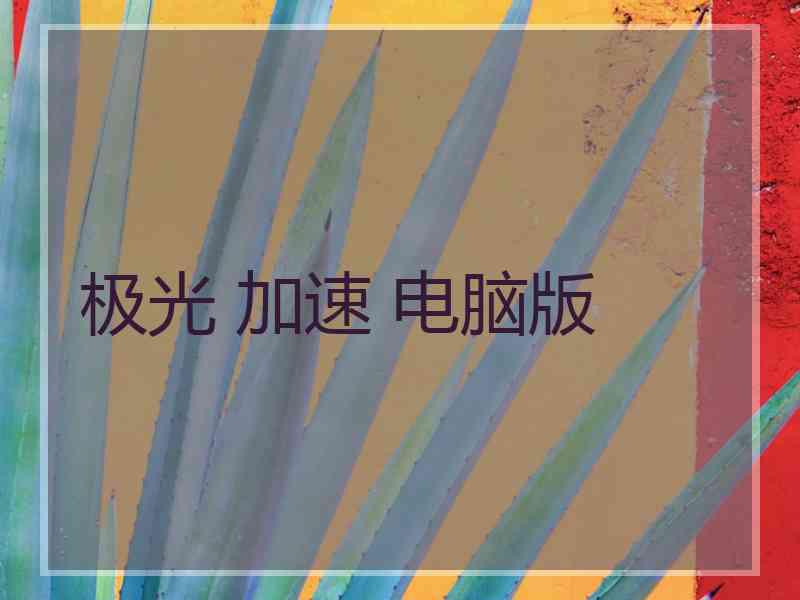 极光 加速 电脑版