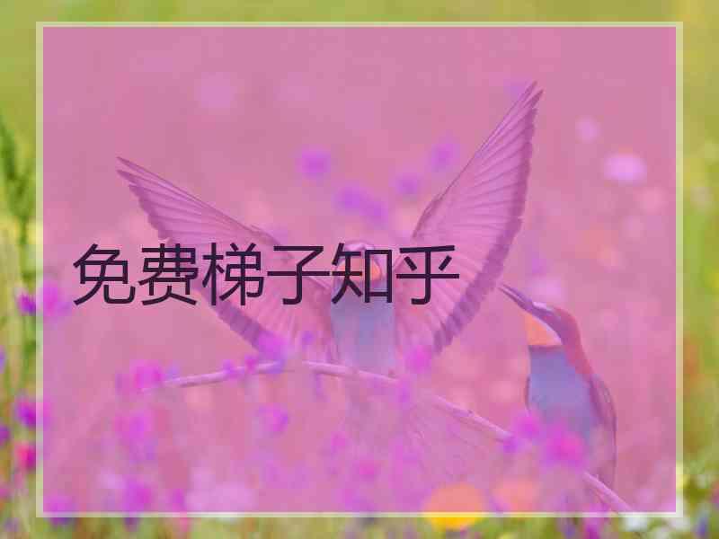 免费梯子知乎