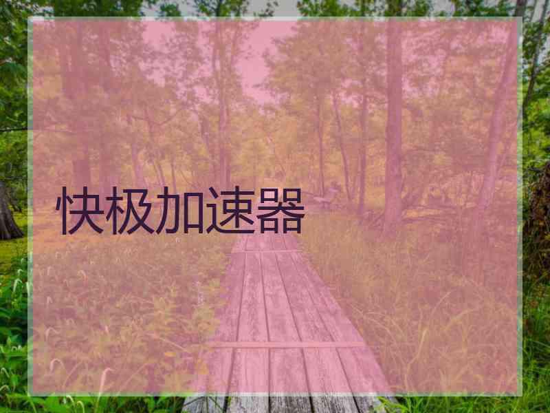 快极加速器
