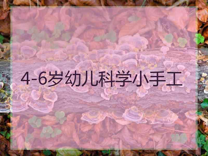 4-6岁幼儿科学小手工
