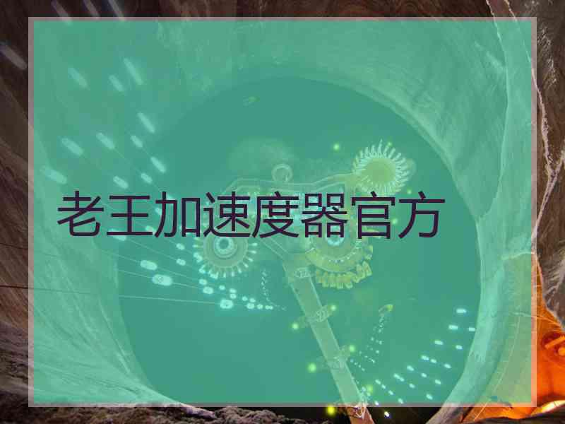 老王加速度器官方