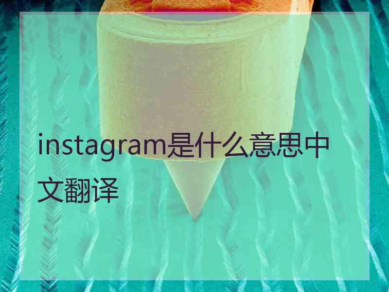 instagram是什么意思中文翻译
