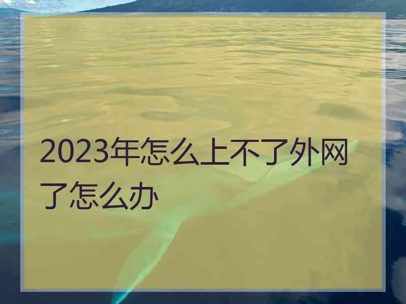 2023年怎么上不了外网了怎么办
