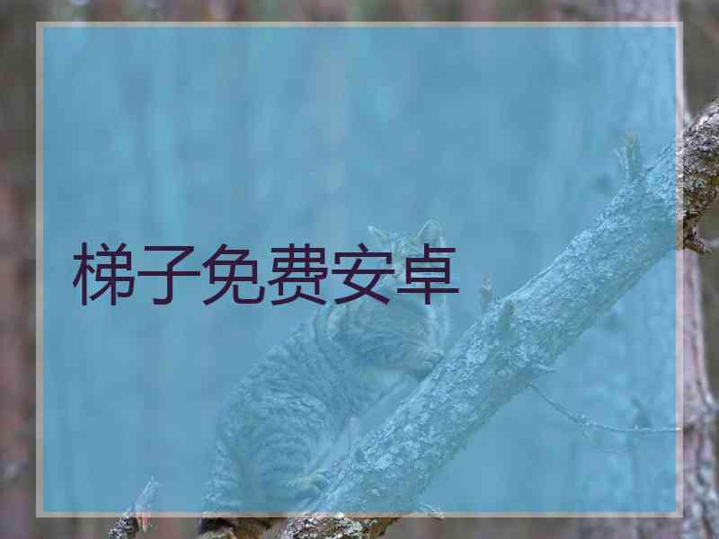 梯子免费安卓