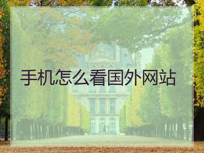 手机怎么看国外网站