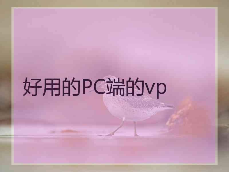 好用的PC端的vp