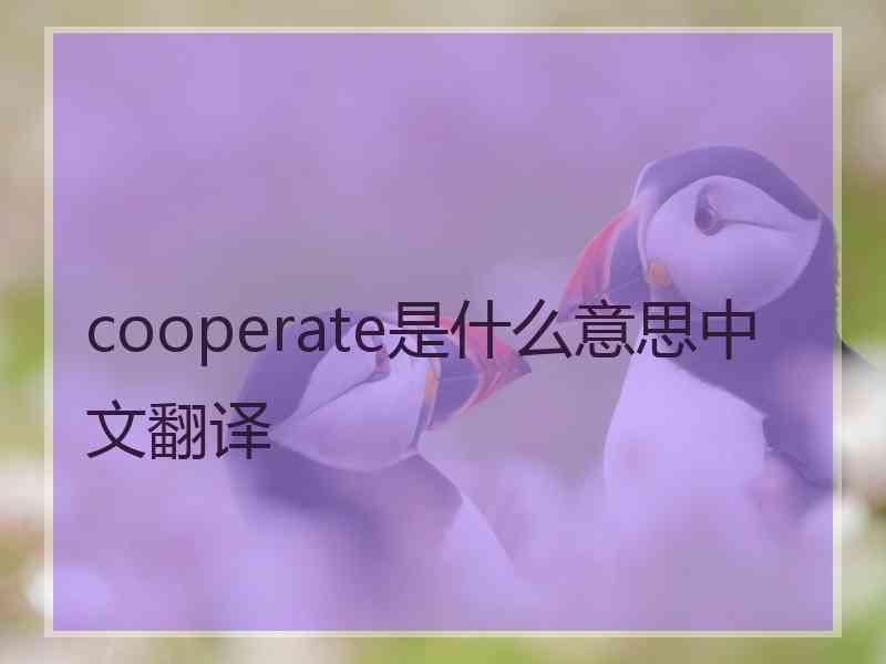 cooperate是什么意思中文翻译