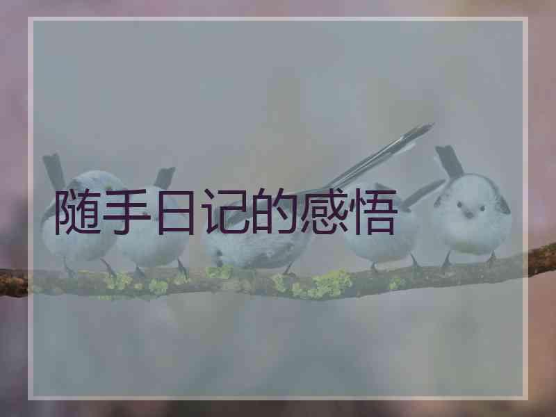 随手日记的感悟