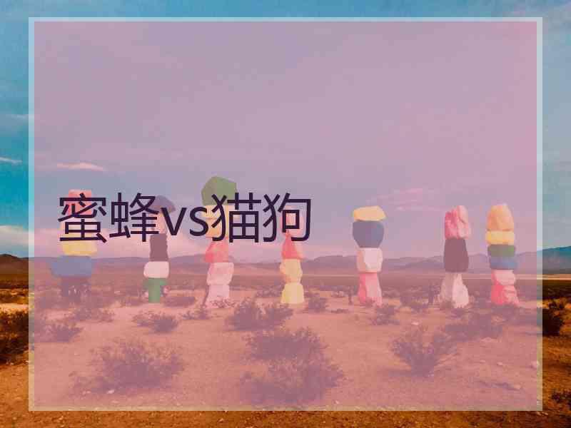 蜜蜂vs猫狗