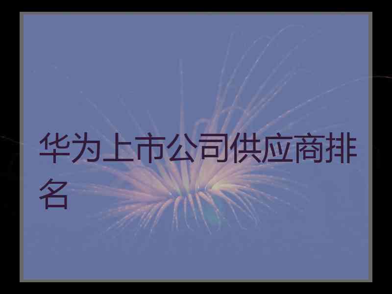 华为上市公司供应商排名