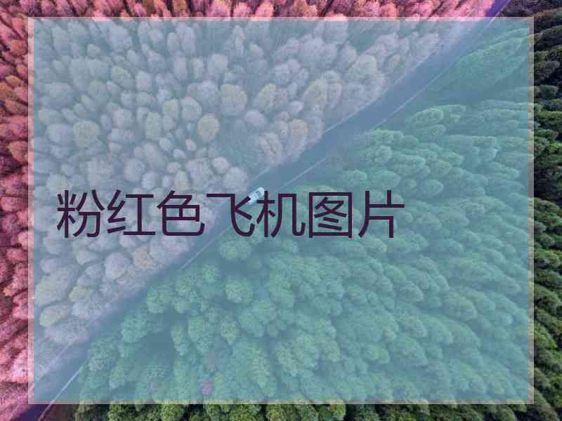 粉红色飞机图片