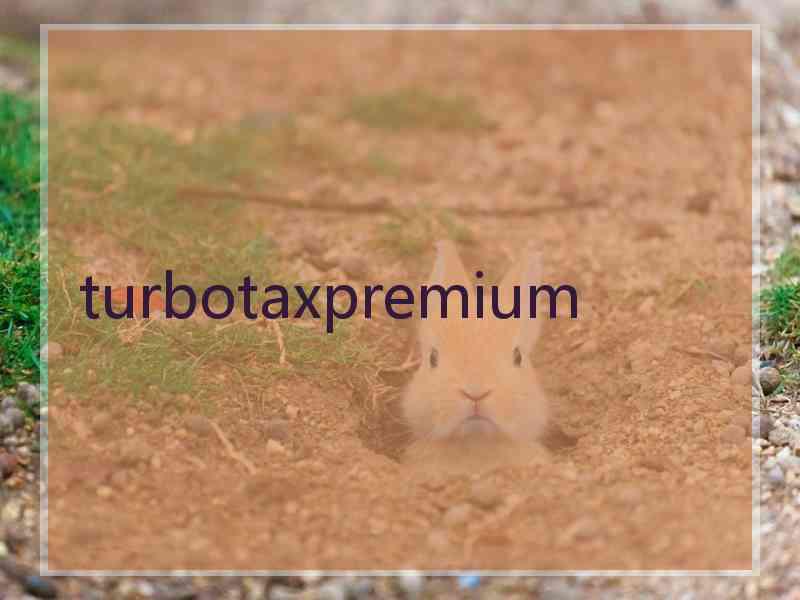 turbotaxpremium