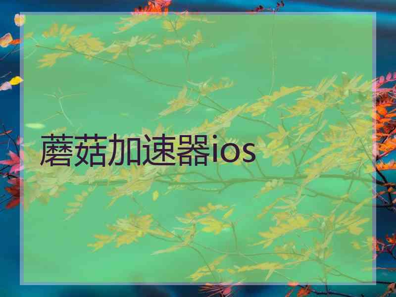 蘑菇加速器ios