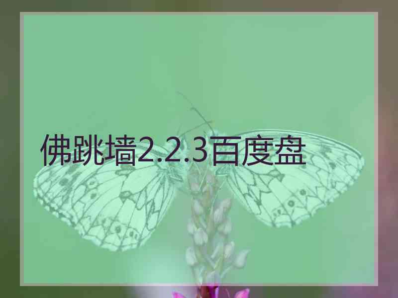 佛跳墙2.2.3百度盘