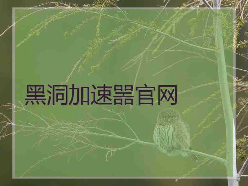 黑洞加速噐官网