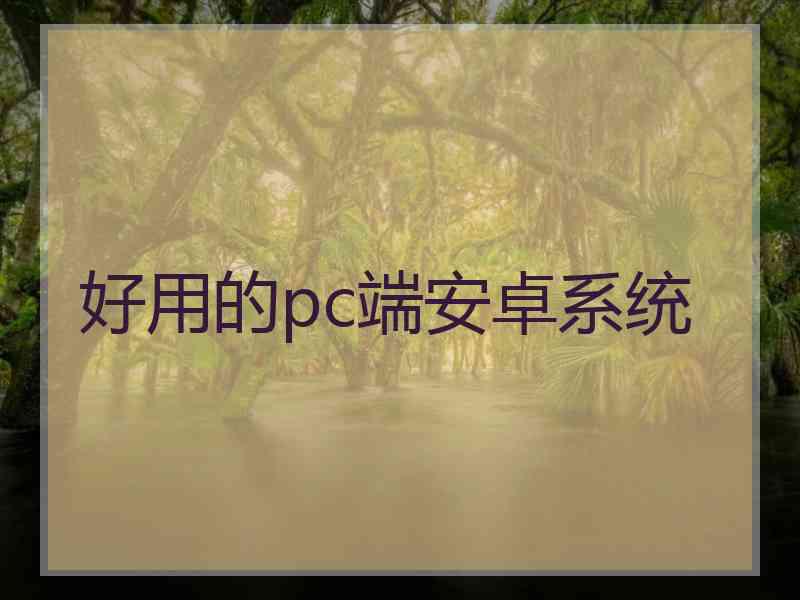 好用的pc端安卓系统
