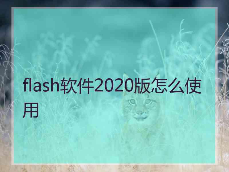 flash软件2020版怎么使用