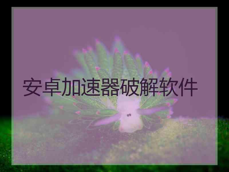 安卓加速器破解软件