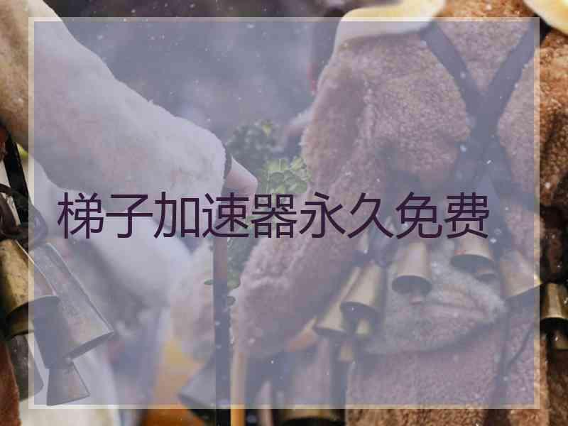 梯子加速器永久免费