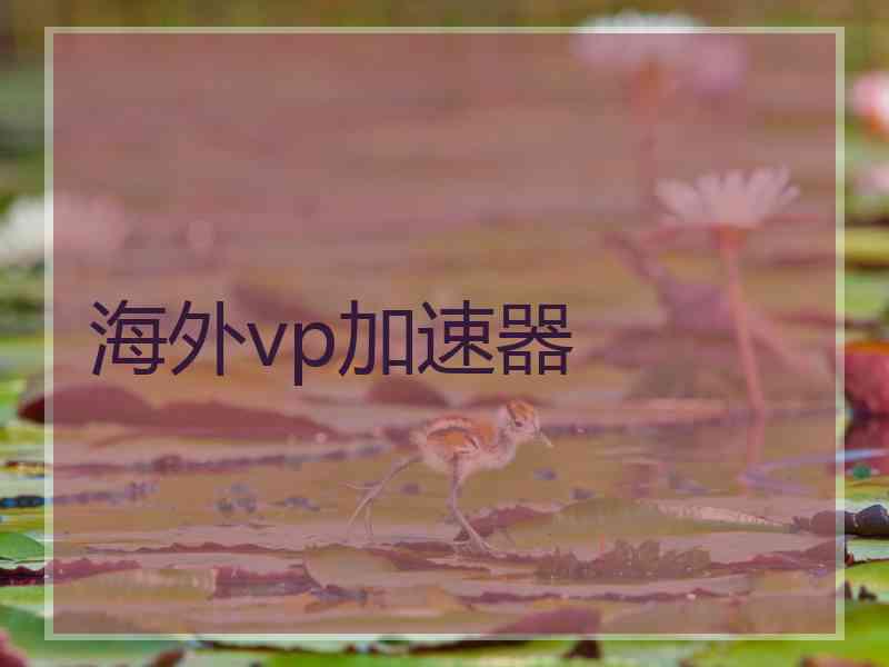 海外vp加速器