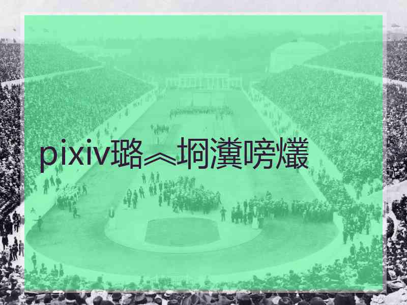 pixiv璐︽埛瀵嗙爜