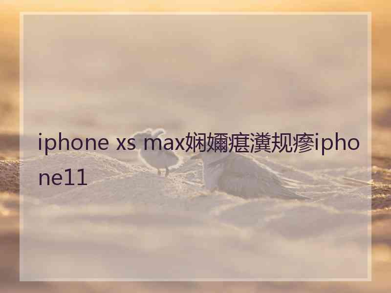 iphone xs max娴嬭瘎瀵规瘮iphone11
