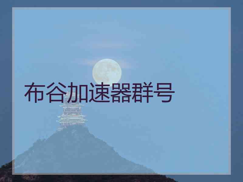 布谷加速器群号