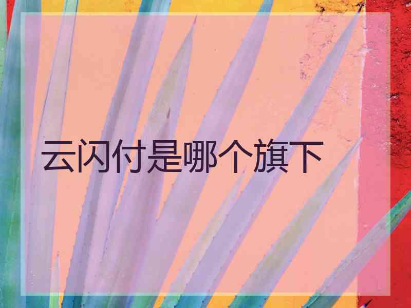 云闪付是哪个旗下
