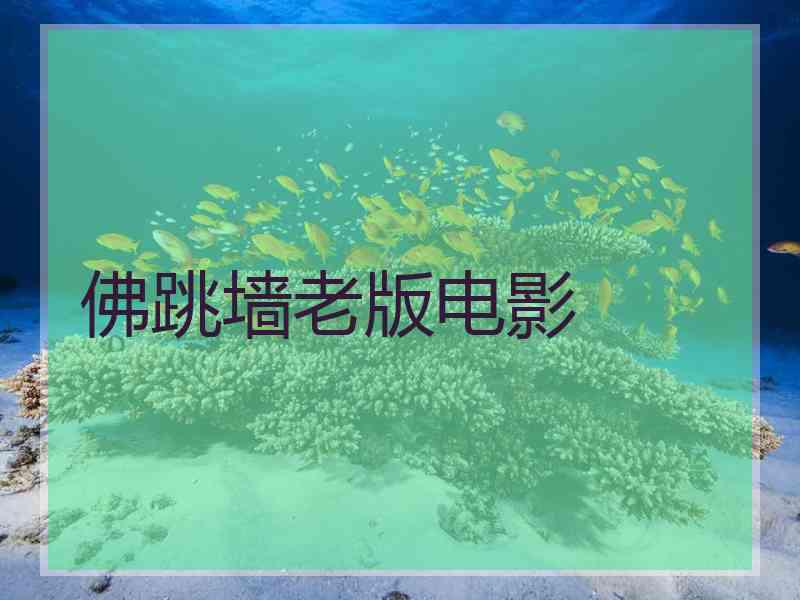 佛跳墙老版电影